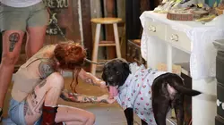 Pitbulls et prisonniers