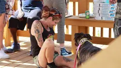 Pitbulls et prisonniers