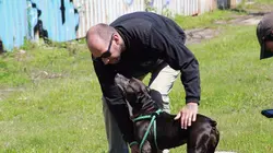 Pitbulls et prisonniers