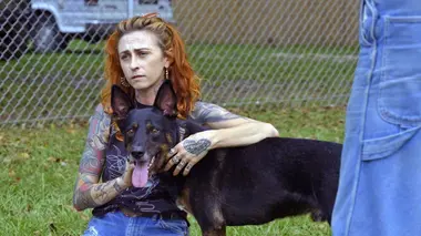 Pitbulls et prisonniers Nouvelle année pour Villalobos