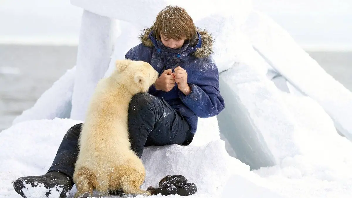 Pizou l'ours blanc, la traversée de la banquise