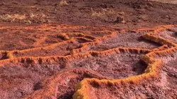 Planète : Attention danger S01E04 Déracinés