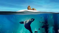 Planète bleue Le grand bleu