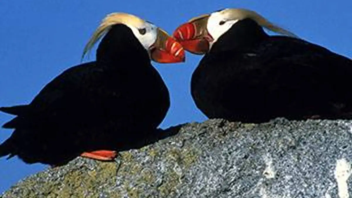 Planète bleue Entre terre et mer