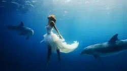 Planète bleue Un seul océan