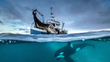 Planète bleue L'avenir des océans