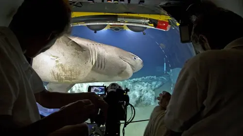 "Planète bleue", le making of