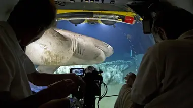 Planète bleue Les aventuriers du grand bleu