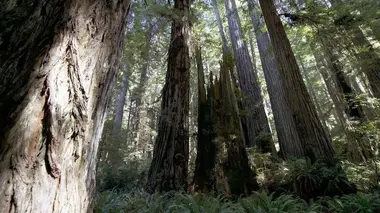 Planète Californie E01 Des richesses naturelles insoupçonnées