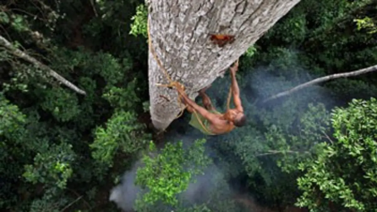 Planète des hommes E08 Jungles