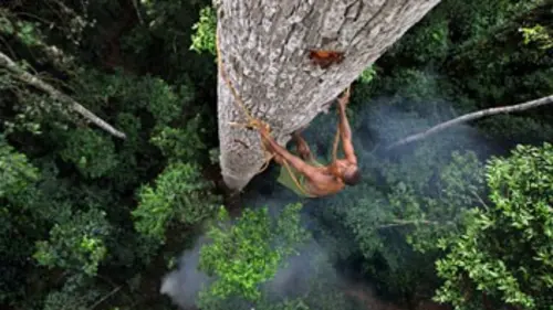 Planète des hommes E08 Jungles