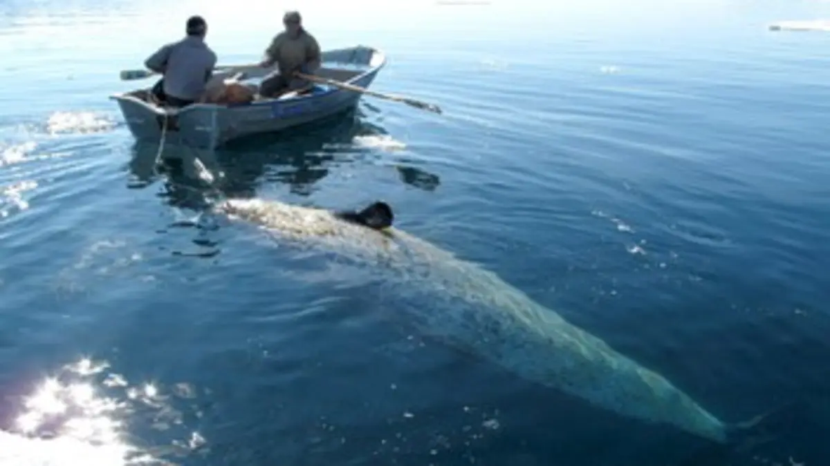 Planète des hommes E02 Arctique