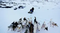 Visuel de Planète des hommes