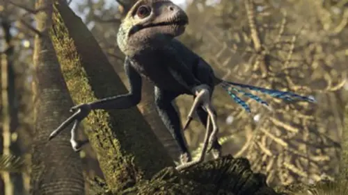 Planète dinosaures E02 Dinosaures à plumes