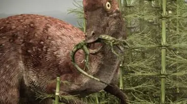 Planète dinosaures E06 Les survivants