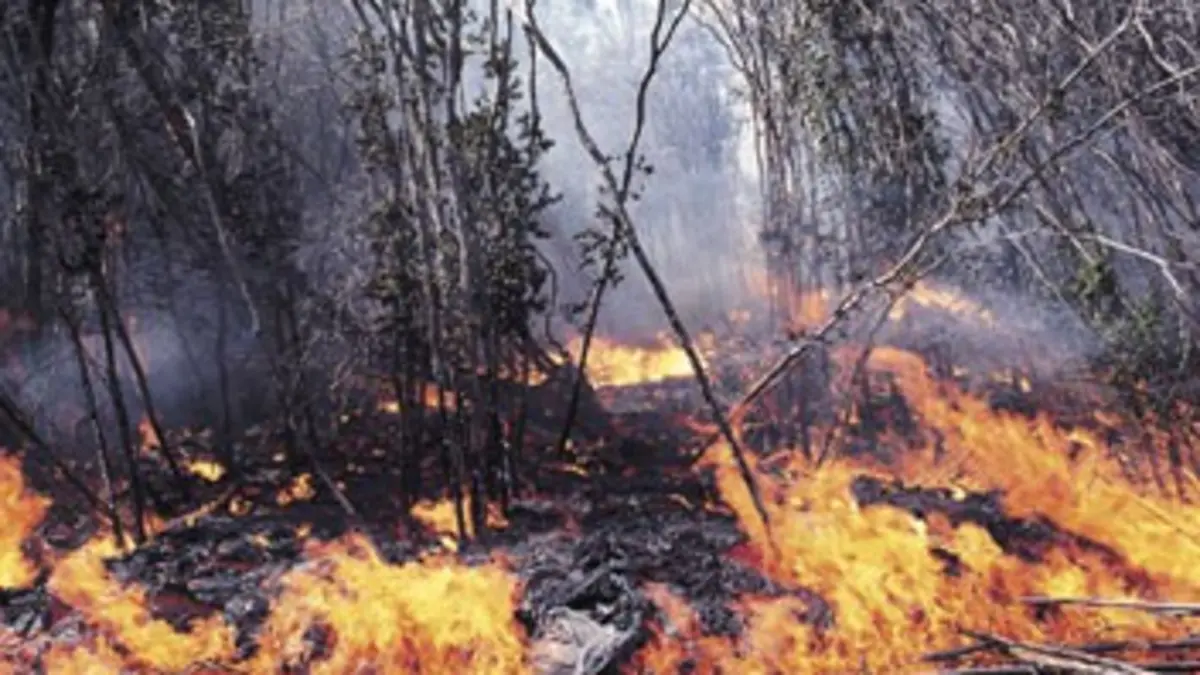 Planète explosive E07 Incendies meurtriers