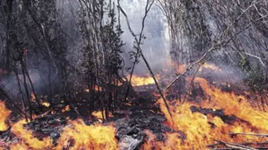 Incendies meurtriers