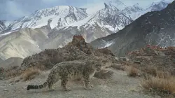 Planète hostile
