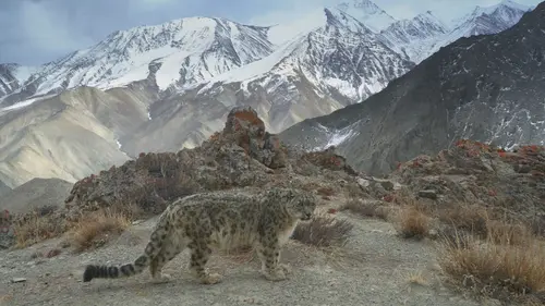 Planète hostile Sur les cimes