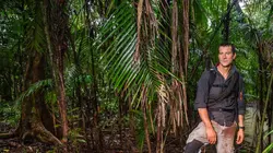 Planète hostile Au coeur de la jungle