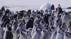 Visuel de Planète hostile