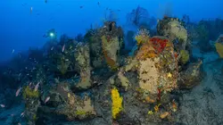 Planète Méditerranée