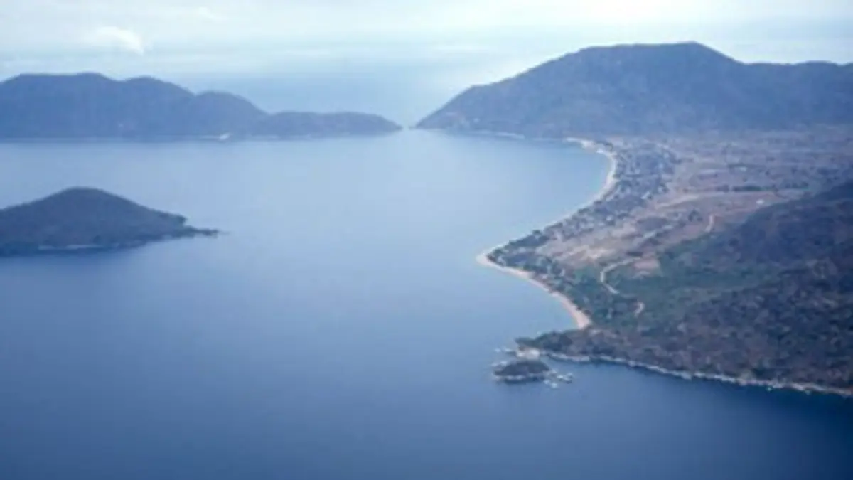 Planète mutante E03 Afrique des Grands Lacs