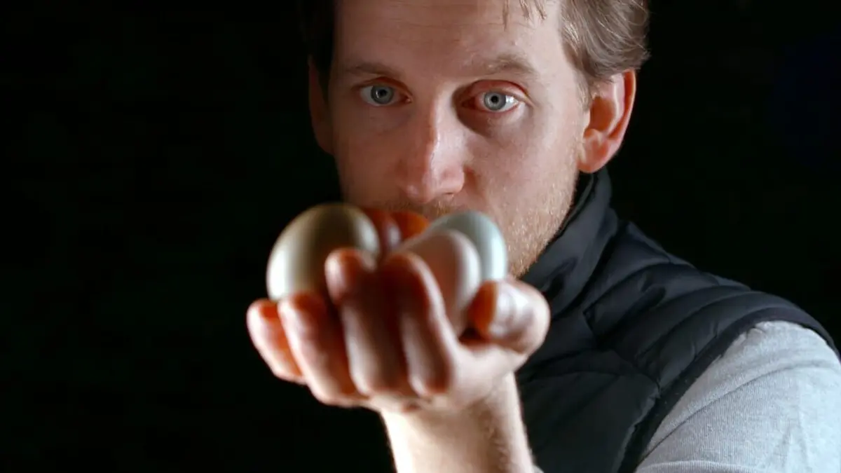 Planète pâtissiers Maxime Frédéric