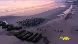 Planète Ride S02E38