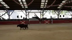 Planète Ride S01E05