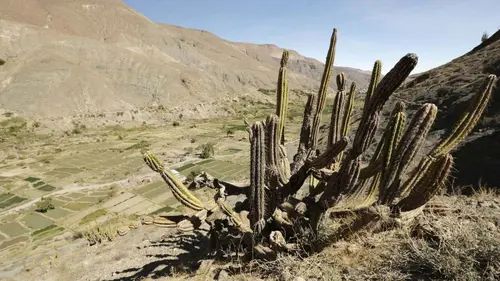 Planète sable Atacama, à la poursuite de l'eau