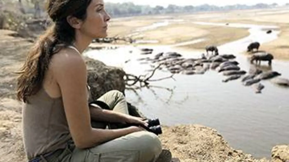 Planète safari S01E03 Luangwa : hippo fight club
