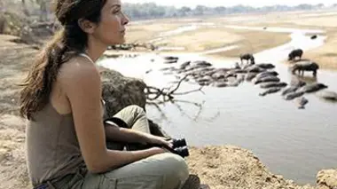 Luangwa : hippo fight club