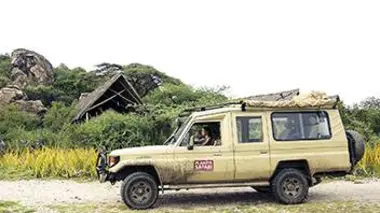 Moremi : la meute de l'Okavango