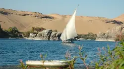 Visuel de Planète Terre