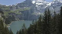 Visuel de Planète Terre : aux origines de la vie