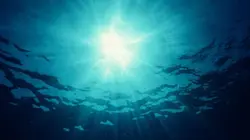 Visuel de Planète Terre : aux origines de la vie