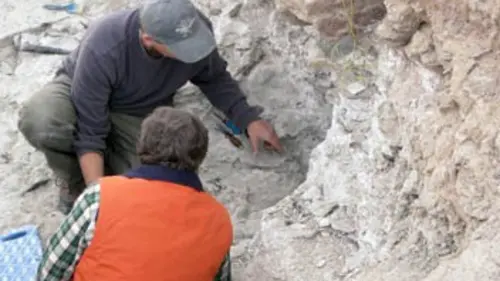 Planète Terre : aux origines de la vie S01E02 Les astéroïdes