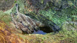 Planète Terre III