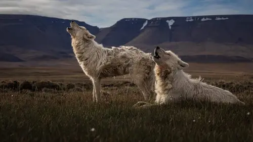 Planète Terre, le prix de la survie