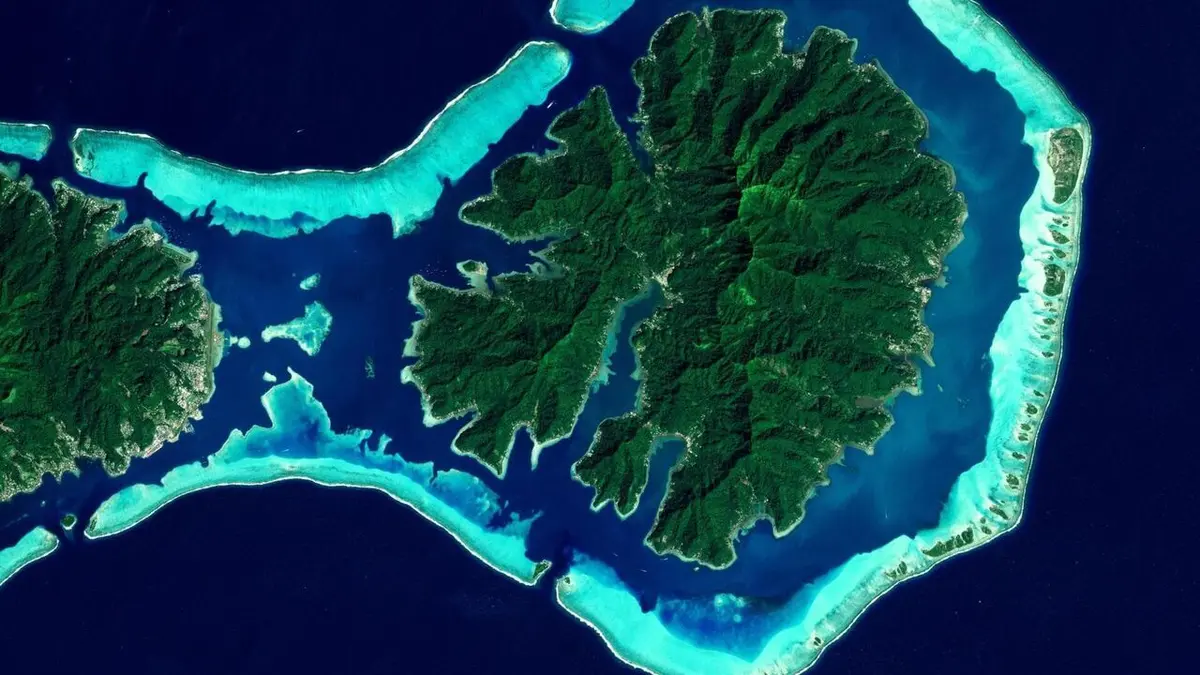 Planète terre : une année au vue du ciel