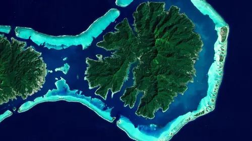 Casting Planète terre : une année au vue du ciel
