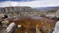 Visuel de Planète très insolite