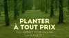 Planter à tout prix : Des arbres pour sauver la planète ?