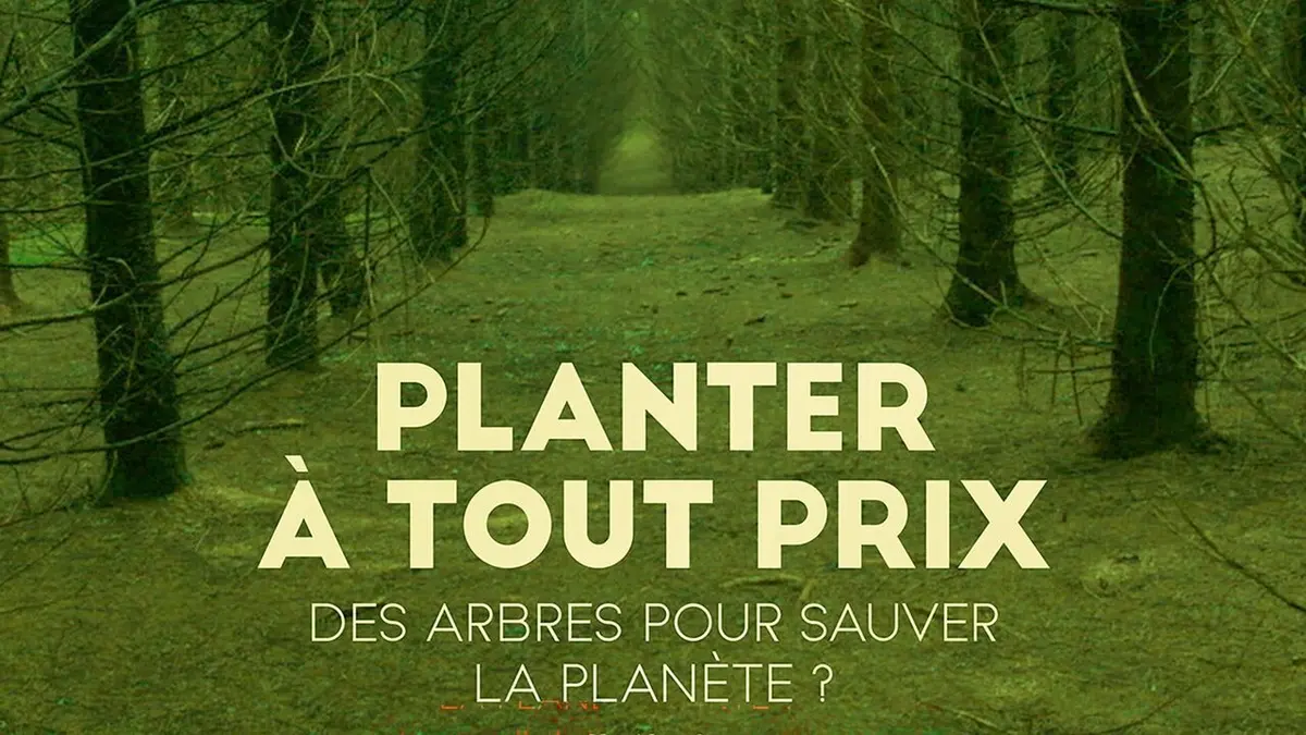 Visuel de Planter à tout prix : Des arbres pour sauver la planète ?