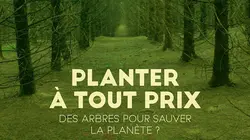 Sur Ushuaïa TV à 20h50 : Planter à tout prix : Des arbres pour sauver la planète ?