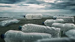 Plastique, la menace toxique