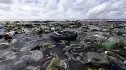 Plastique, le meilleur ennemi