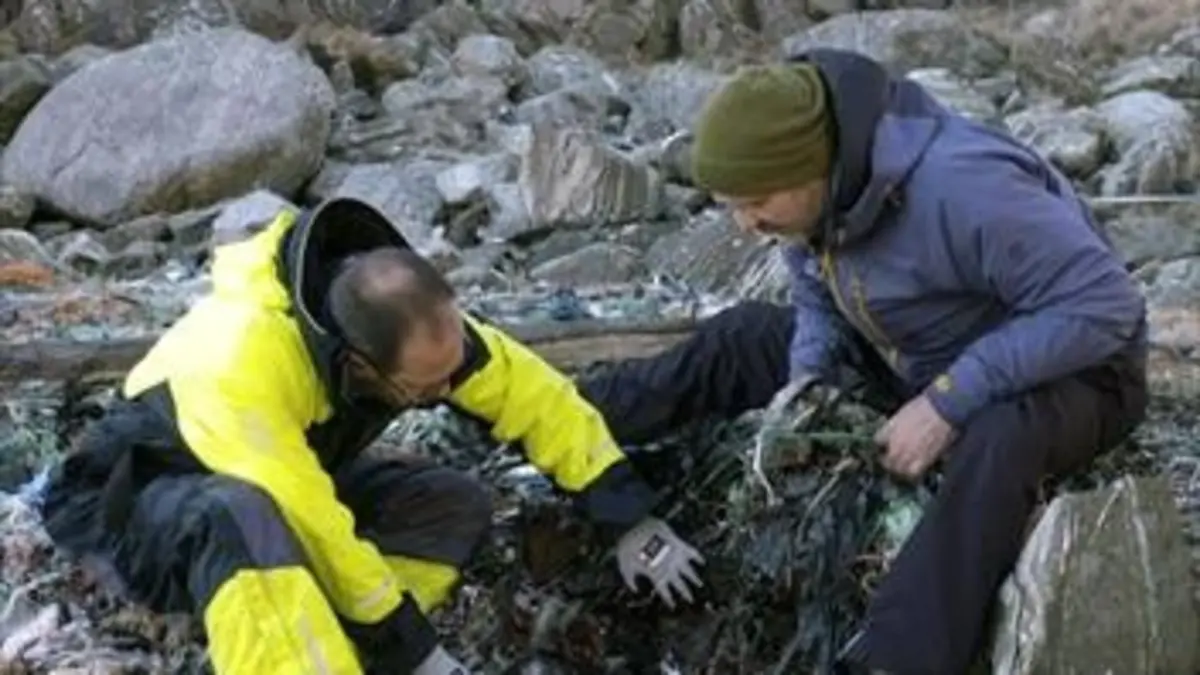 Plastiques, la nature en péril