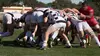 Plateau rugby : Test-matches
